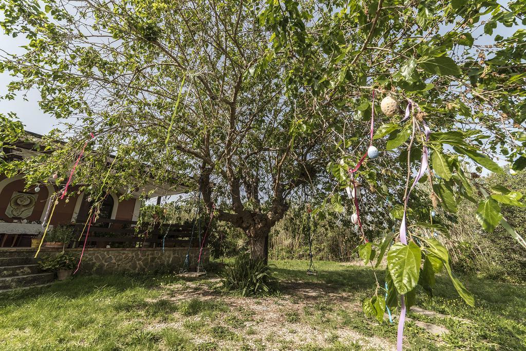 Country House Araba Phoenix Castellabate Exterior foto