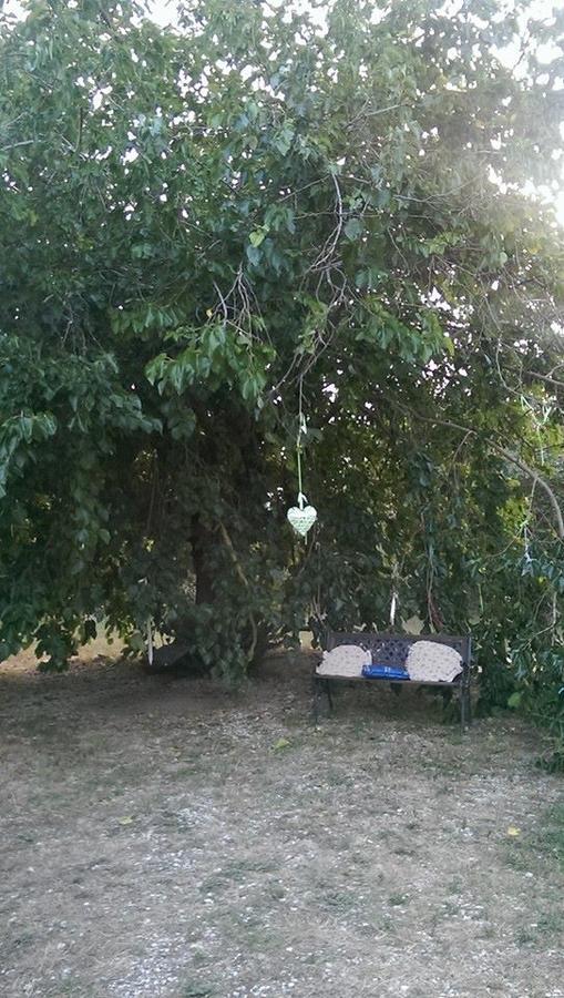 Country House Araba Phoenix Castellabate Exterior foto